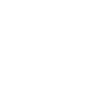 icoon telefoon