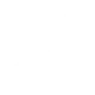 icoon sneeuw