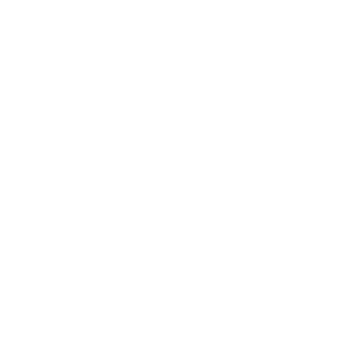 icoon laptop