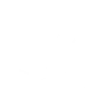 icoon skien