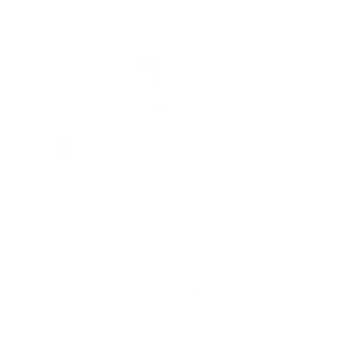 icoon kind